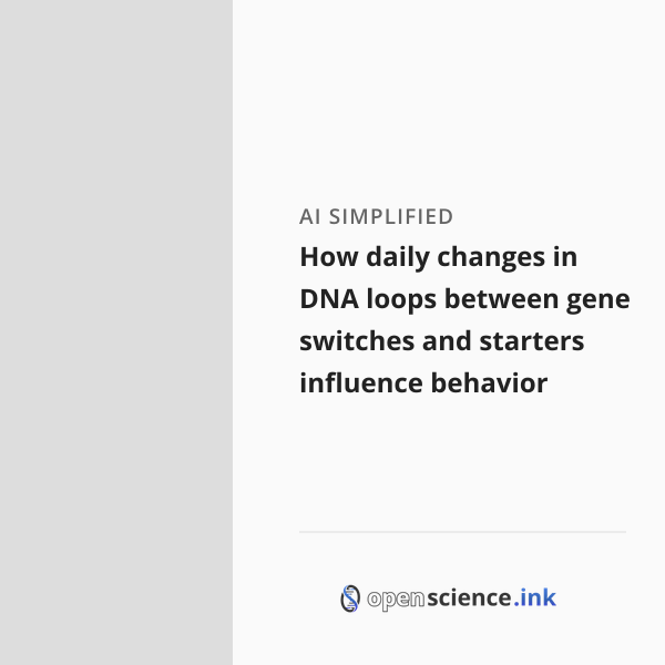 How daily changes in DNA loops between gene switches and starters ...