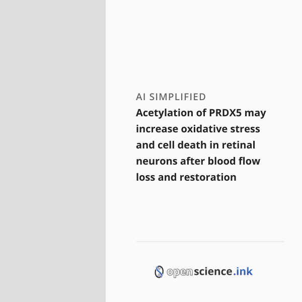 Acetylation of PRDX5 may increase oxidative stress and cell death in ...