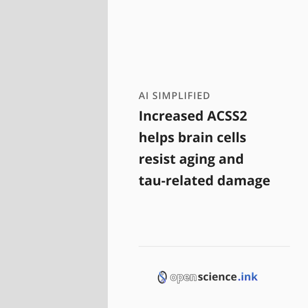 Increased ACSS2 helps brain cells resist aging and tau-related damage ...