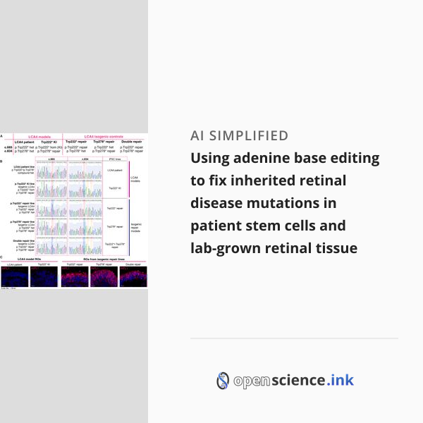 Using adenine base editing to fix inherited retinal disease mutations ...