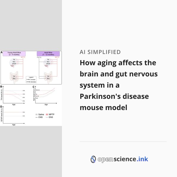 How aging affects the brain and gut nervous system in a Parkinson's ...