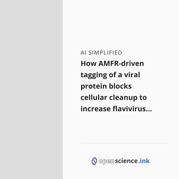 How AMFR-driven tagging of a viral protein blocks cellular cleanup to ...