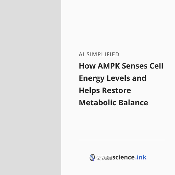 How AMPK Senses Cell Energy Levels and Helps Restore Metabolic Balance ...