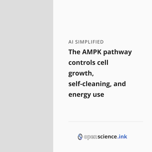 The AMPK pathway controls cell growth, self-cleaning, and energy use ...