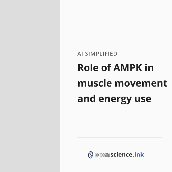 Role of AMPK in muscle movement and energy use | studies, simplified