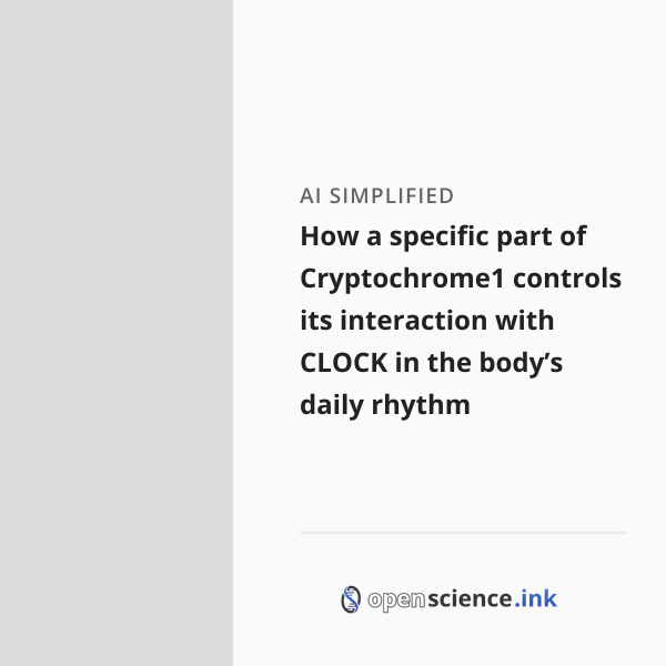 Arg-293 in Cryptochrome1 helps control how it binds to CLOCK protein in ...