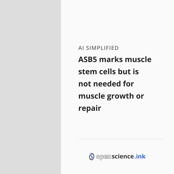 ASB5 marks muscle stem cells but is not needed for muscle growth or ...