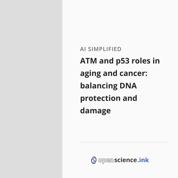 ATM and p53 roles in aging and cancer: balancing DNA protection and ...