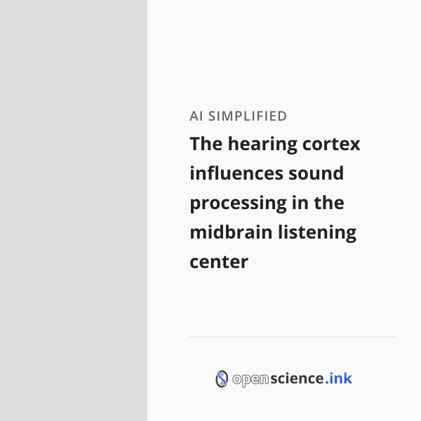 The hearing cortex influences sound processing in the midbrain ...