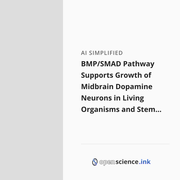 BMP/SMAD Pathway Supports Growth of Midbrain Dopamine Neurons in Living ...