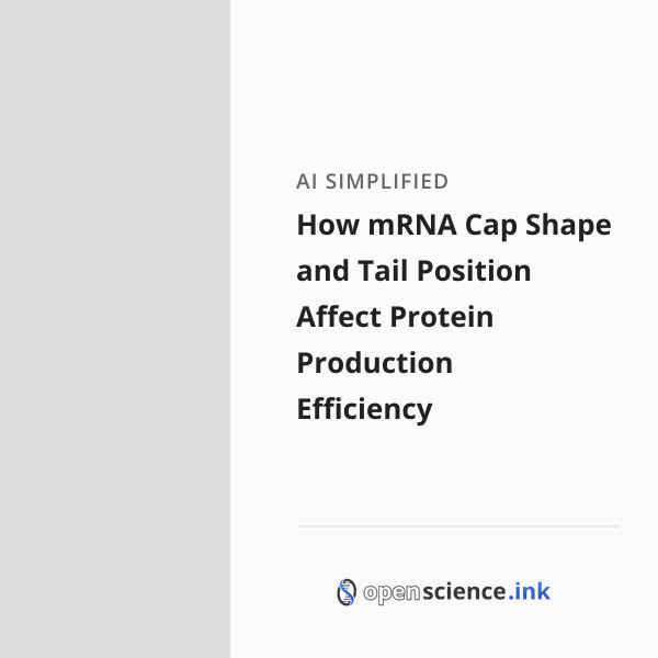 How mRNA Cap Shape and Tail Position Affect Protein Production ...