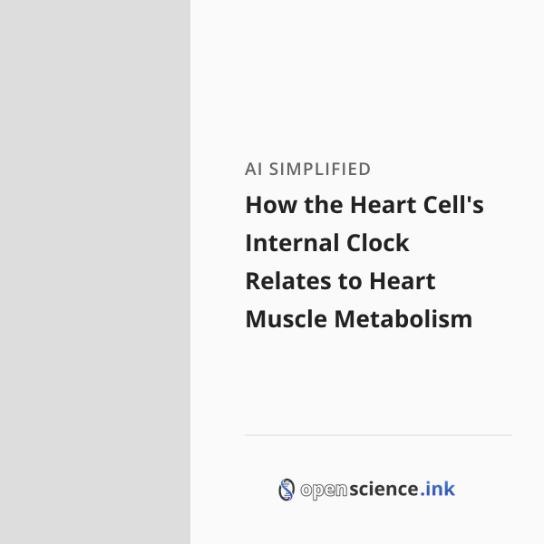 How the Heart Cell's Internal Clock Relates to Heart Muscle Metabolism ...