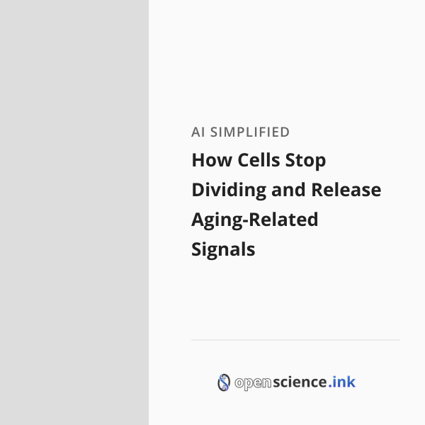 How Cells Stop Dividing and Release Aging-Related Signals | studies ...