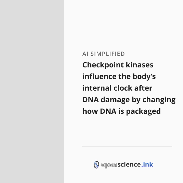 Checkpoint kinases influence the body’s internal clock after DNA damage ...