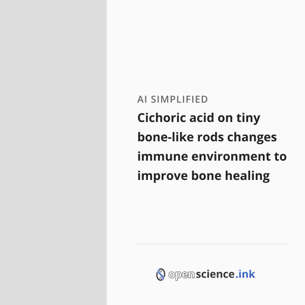 Bone Rods Cichoric acid on tiny bone-like rods changes immune environment to ...