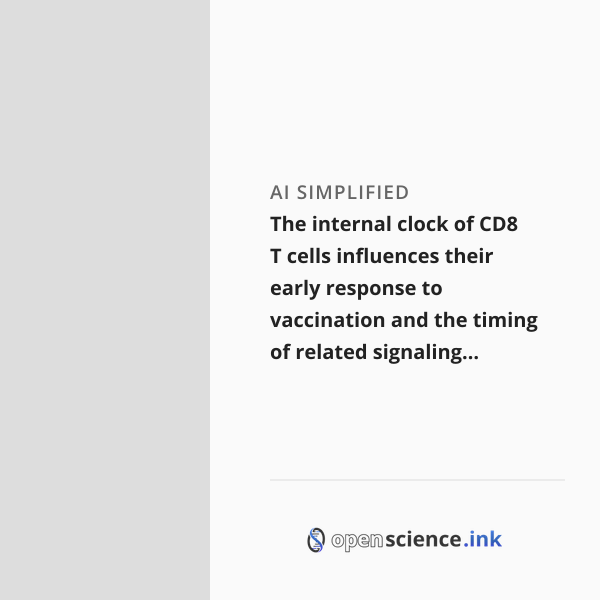 The internal clock of CD8 T cells influences their early response to ...