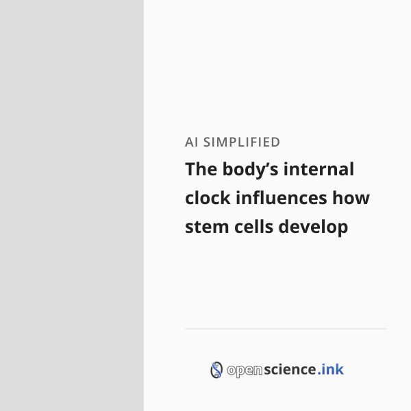 The body’s internal clock influences how stem cells develop | studies ...