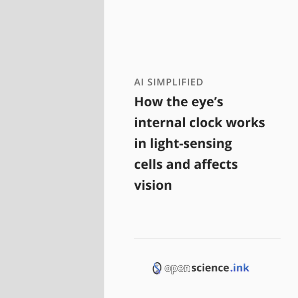 How the eye’s internal clock works in light-sensing cells and affects ...