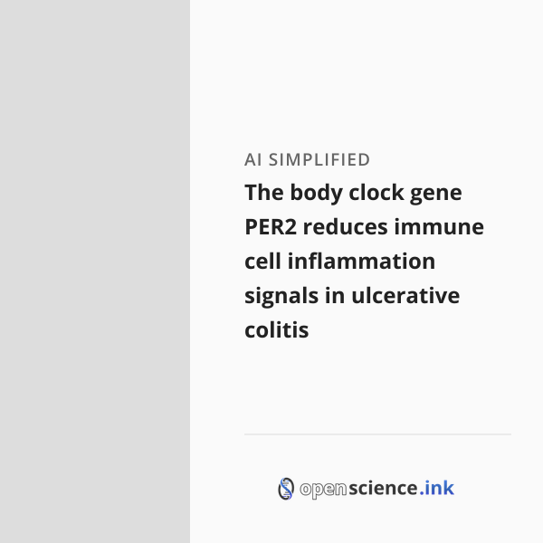 Per2 Clock The body clock gene PER2 reduces immune cell inflammation signals in ...