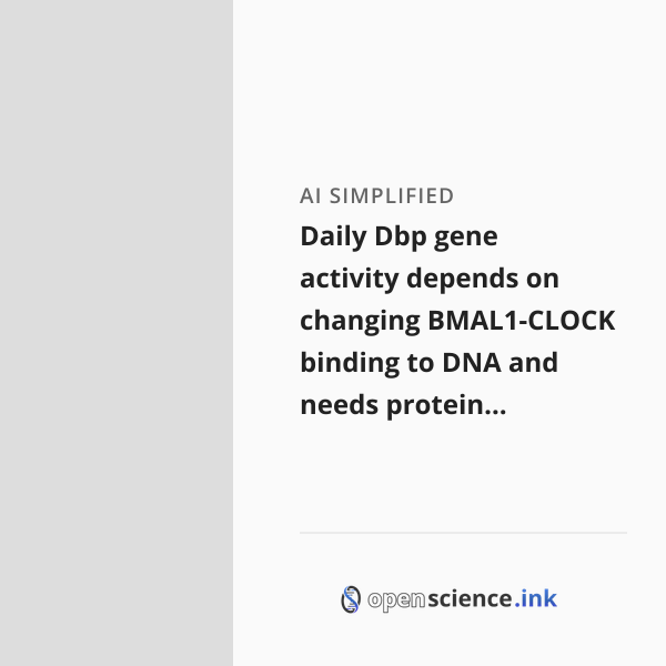 Daily Dbp gene activity depends on changing BMAL1-CLOCK binding to DNA ...