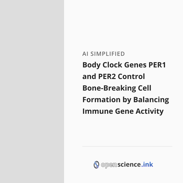 Body Clock Genes PER1 and PER2 Control Bone-Breaking Cell Formation by ...