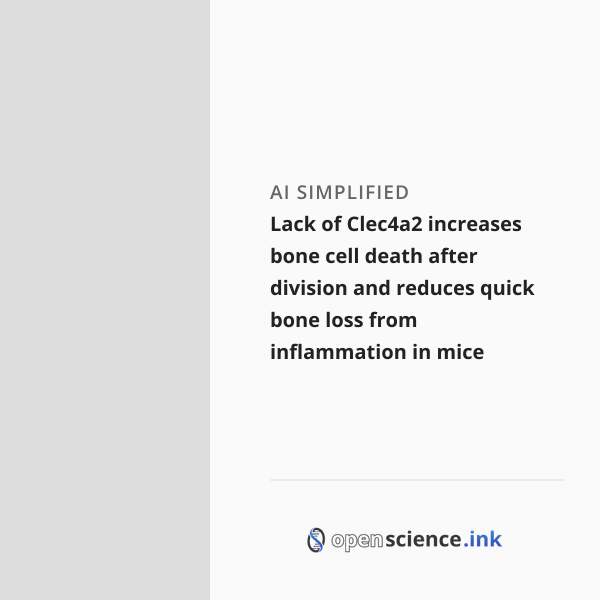 Lack of Clec4a2 increases bone cell death after division and reduces ...