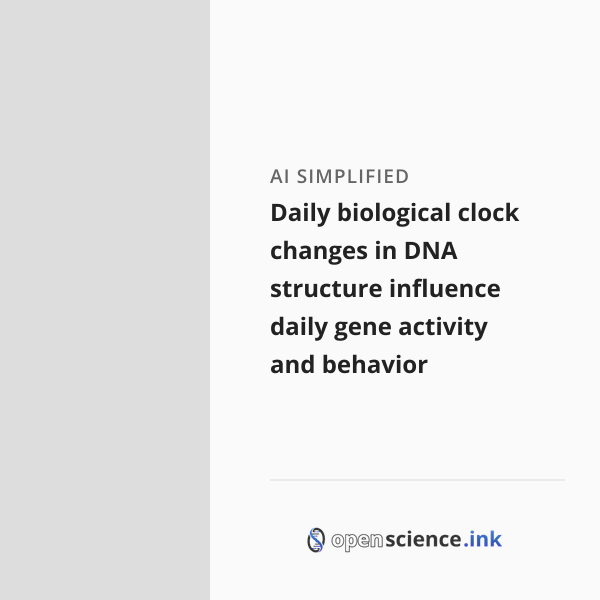 Daily biological clock changes in DNA structure influence daily gene ...