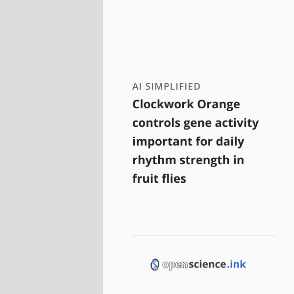 Clockwork Orange controls gene activity important for daily rhythm ...