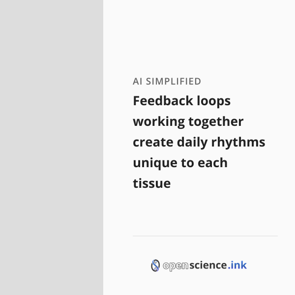 Feedback loops working together create daily rhythms unique to each ...