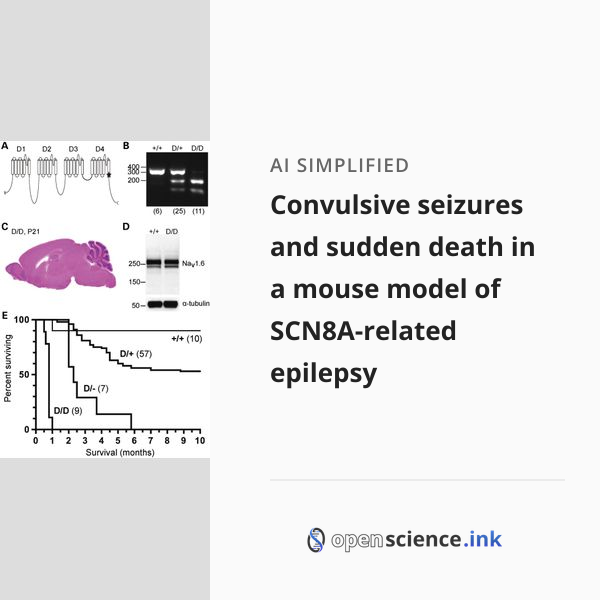 Convulsive seizures and sudden death in a mouse model of SCN8A-related ...