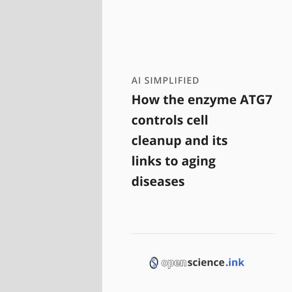 How the enzyme ATG7 controls cell cleanup and its links to aging ...