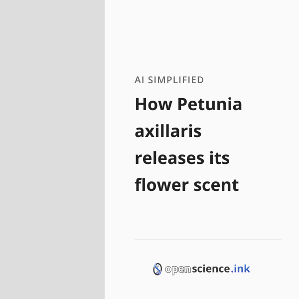 How Petunia axillaris releases its flower scent | studies, simplified