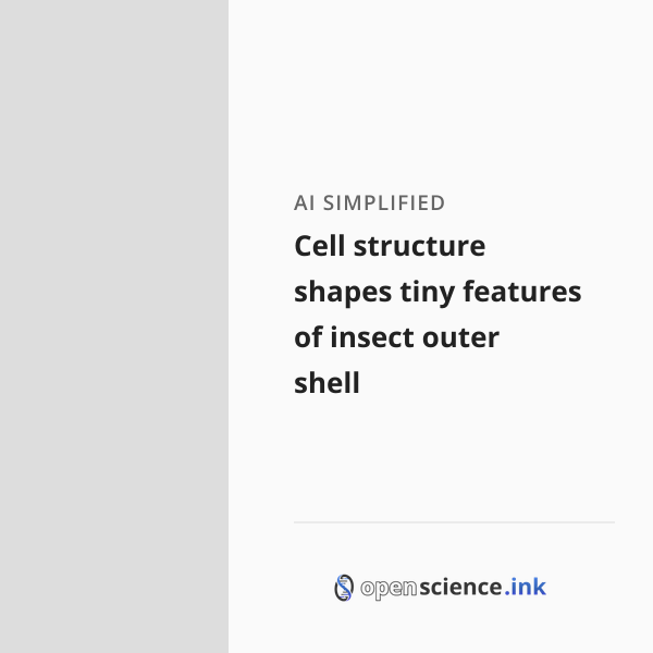 Insect Eye Reticula Cell structure shapes tiny features of insect outer shell | studies ...