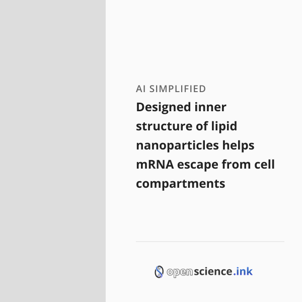 Designed inner structure of lipid nanoparticles helps mRNA escape from ...