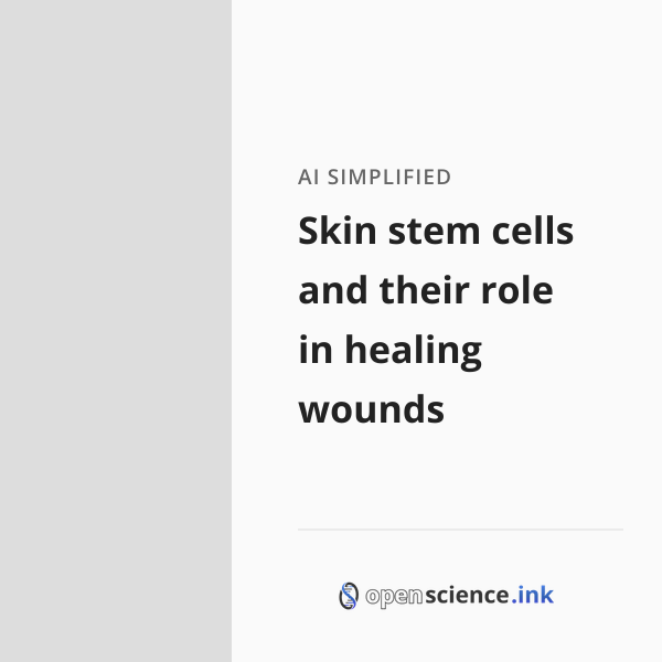 Skin stem cells and their role in healing wounds | studies, simplified