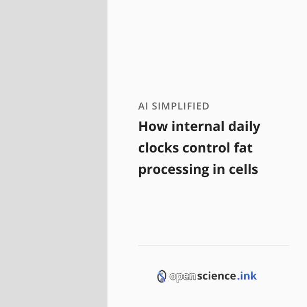 How internal daily clocks control fat processing in cells | studies ...