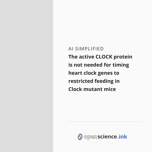 The active CLOCK protein is not needed for timing heart clock genes to ...