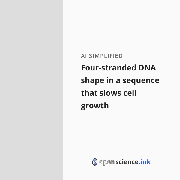 Strand Shape Four-stranded DNA shape in a sequence that slows cell growth | studies ...