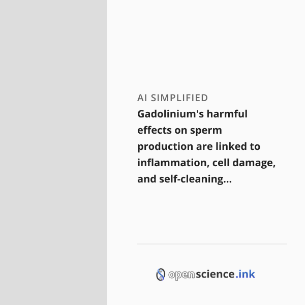 Gadolinium Risks Gadolinium's harmful effects on sperm production are linked to ...