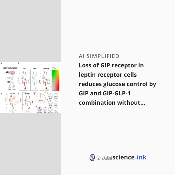 Gip Riser Loss of GIP receptor in leptin receptor cells reduces glucose control ...