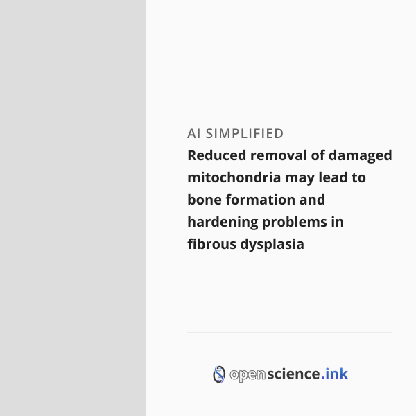 Reduced removal of damaged mitochondria may lead to bone formation and ...