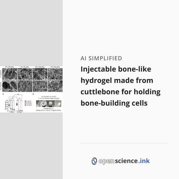 Injectable bone-like hydrogel made from cuttlebone for holding bone ...