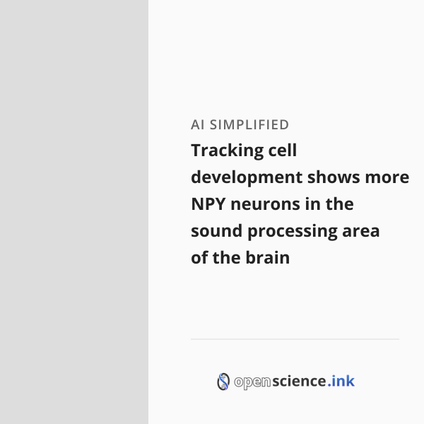 Tracking cell development shows more NPY neurons in the sound ...
