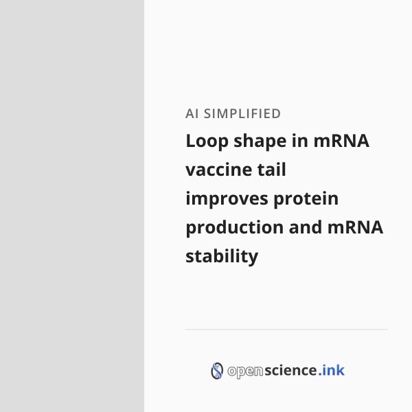 Loop shape in mRNA vaccine tail improves protein production and mRNA ...