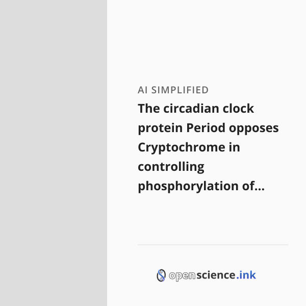 Cryptohroe The circadian clock protein Period opposes Cryptochrome in controlling ...