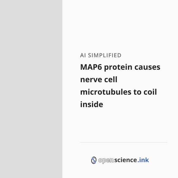 Map6 Structure MAP6 protein causes nerve cell microtubules to coil inside | studies ...