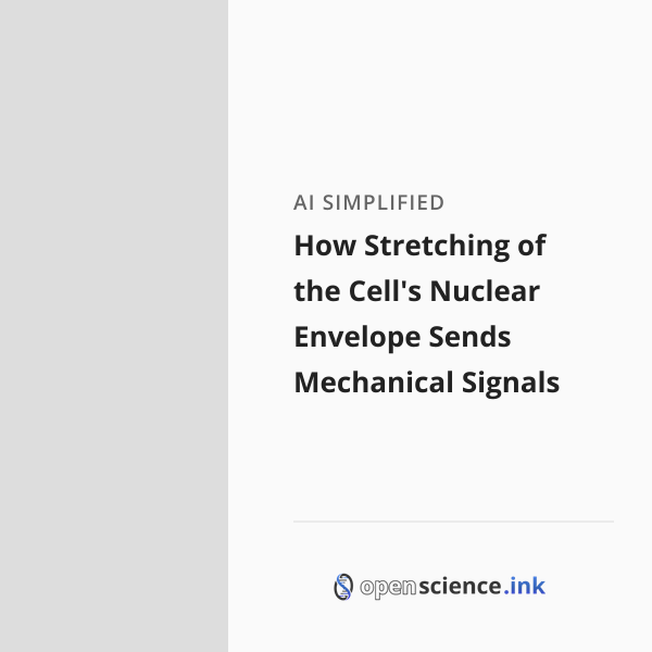 How Stretching of the Cell's Nuclear Envelope Sends Mechanical Signals ...