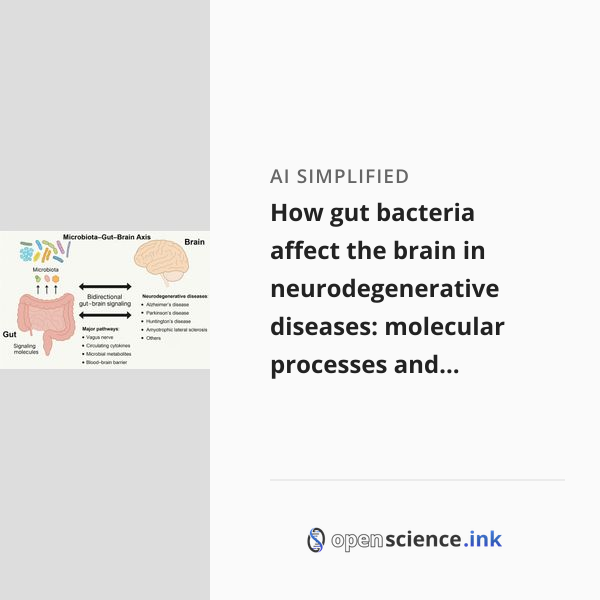 How gut bacteria affect the brain in neurodegenerative diseases ...