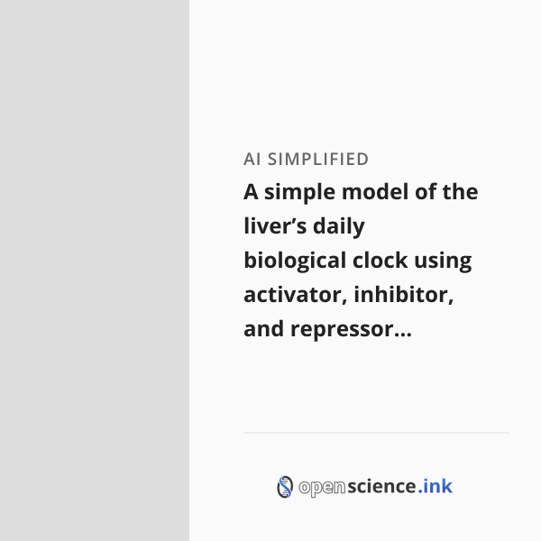 A simple model of the liver’s daily biological clock using activator ...