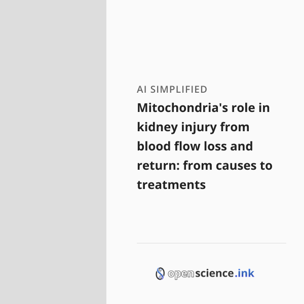 Mitochondria's role in kidney injury from blood flow loss and return ...